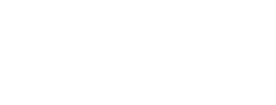 Mile 91 logo