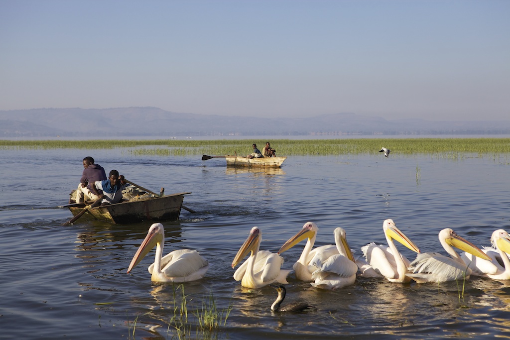 Fishermen rowing their boats, Ethiopia