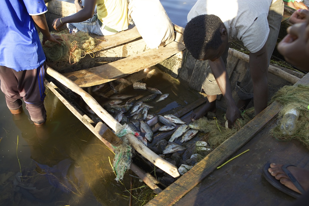 Fishermen at Lake Hawassa, Ethiopia