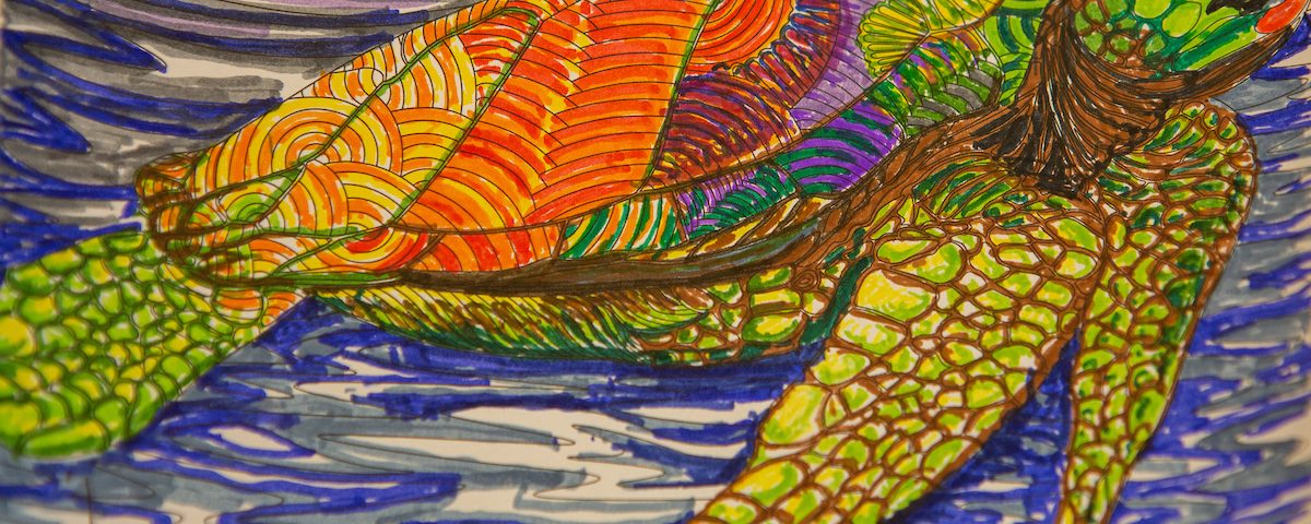 A colouring in of a turtle