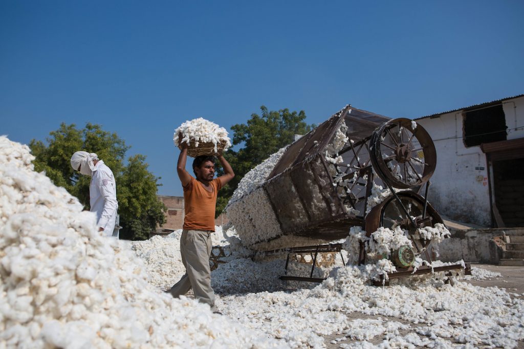 Cotton being ginned at a ginners in Madhya Pradesh, India.