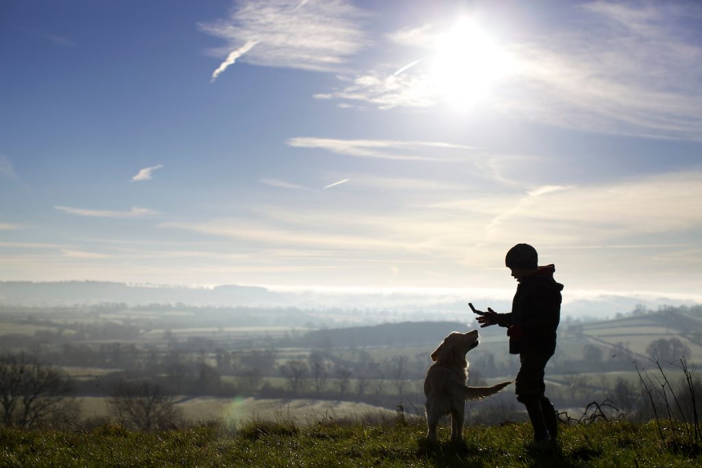 boy and dog on a hilltop on a sunny winters day