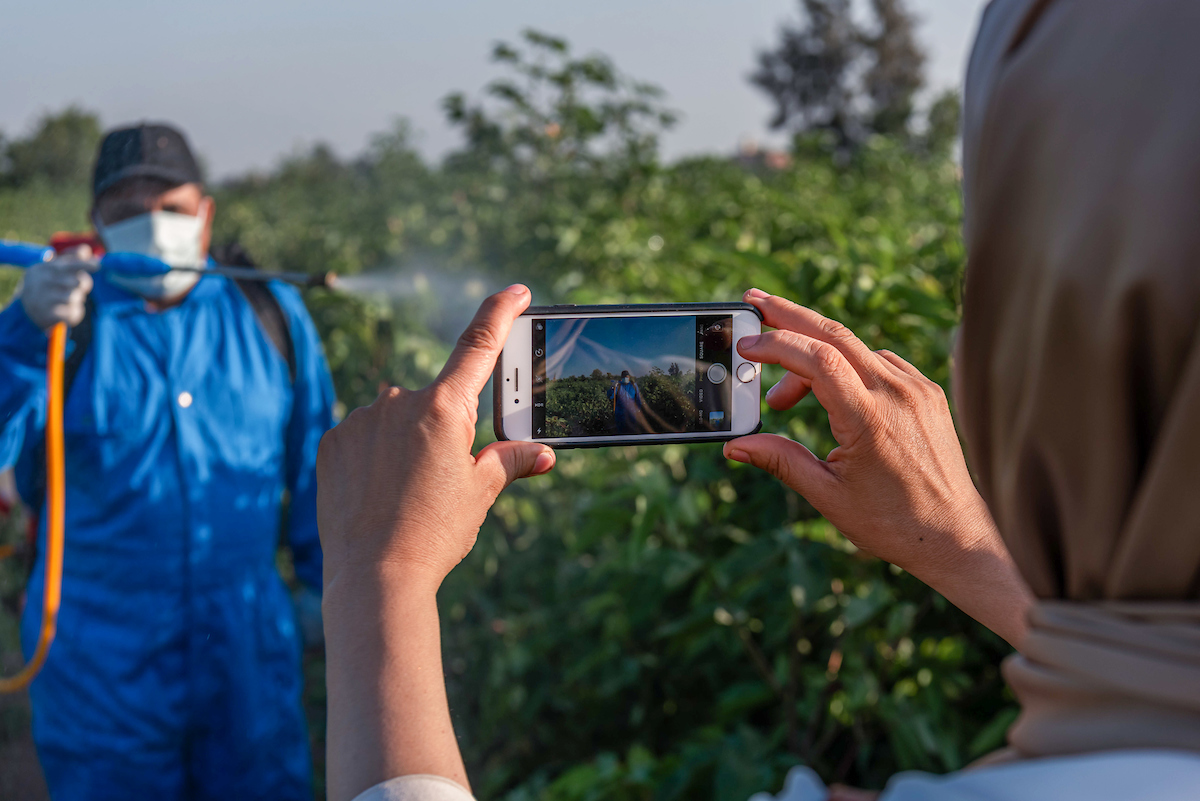 A persons hand holding a smartphone to film a farmer spraying his crops